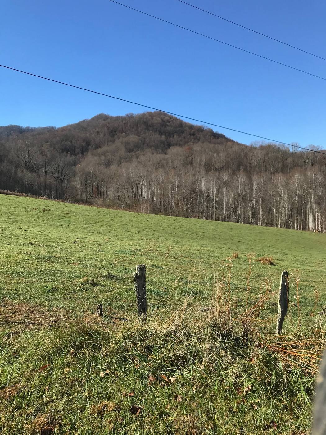 Mountain view opened up after tree clearing in Western North Carolina